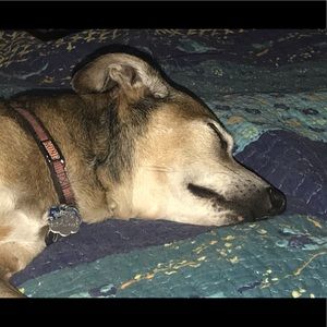 Meet your Posher, Christine